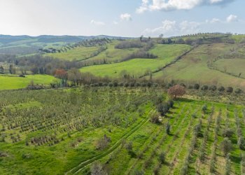 Vista delle montagne - Rustic Str. della Sgrilla, 28-20, Capalbio - photo 60