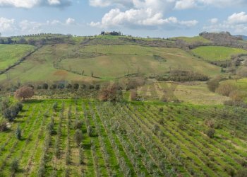 Vista delle montagne - Rustic Str. della Sgrilla, 28-20, Capalbio - photo 61