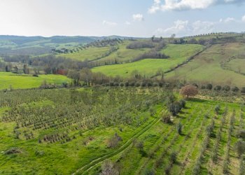 Vista delle montagne - Rustic Str. della Sgrilla, 28-20, Capalbio - photo 62