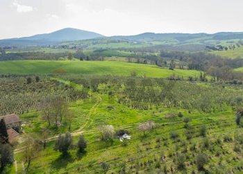 Vista delle montagne - Rustic Str. della Sgrilla, 28-20, Capalbio - photo 64