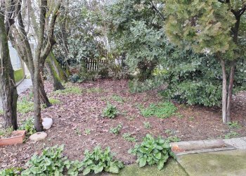 Giardino - Casa semi indipendente strada provinciale per busseto
 
98, Fontevivo - foto 6