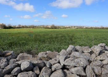 Giardino - Locale Commerciale C.da Cisternazzi
snc, Ragusa - foto 6