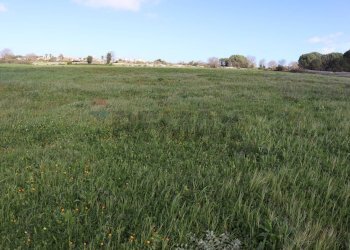 Giardino - Locale Commerciale C.da Cisternazzi
snc, Ragusa - foto 7