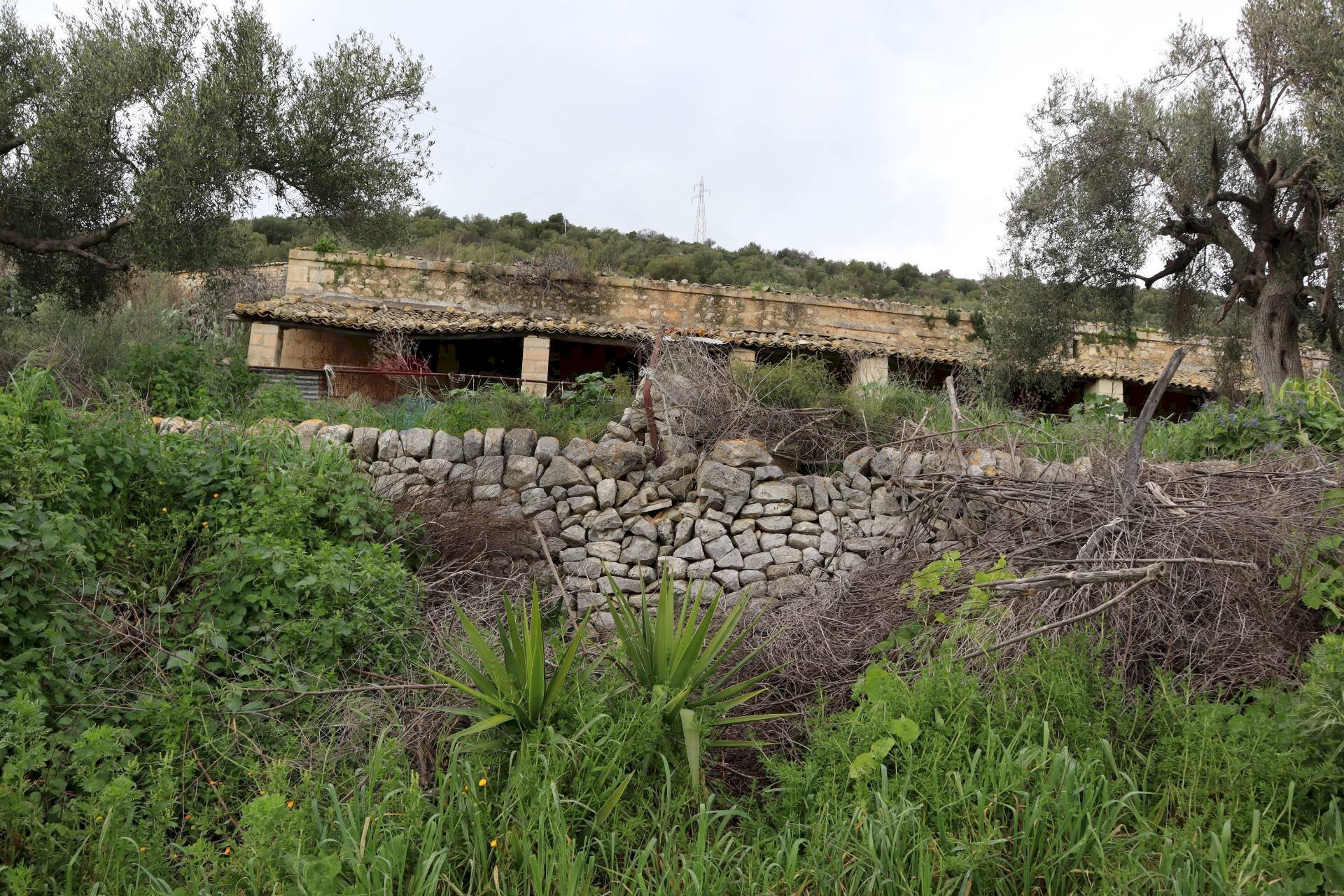 Giardino - Rustico C.da Galerme
 
snc, Ragusa - foto 2