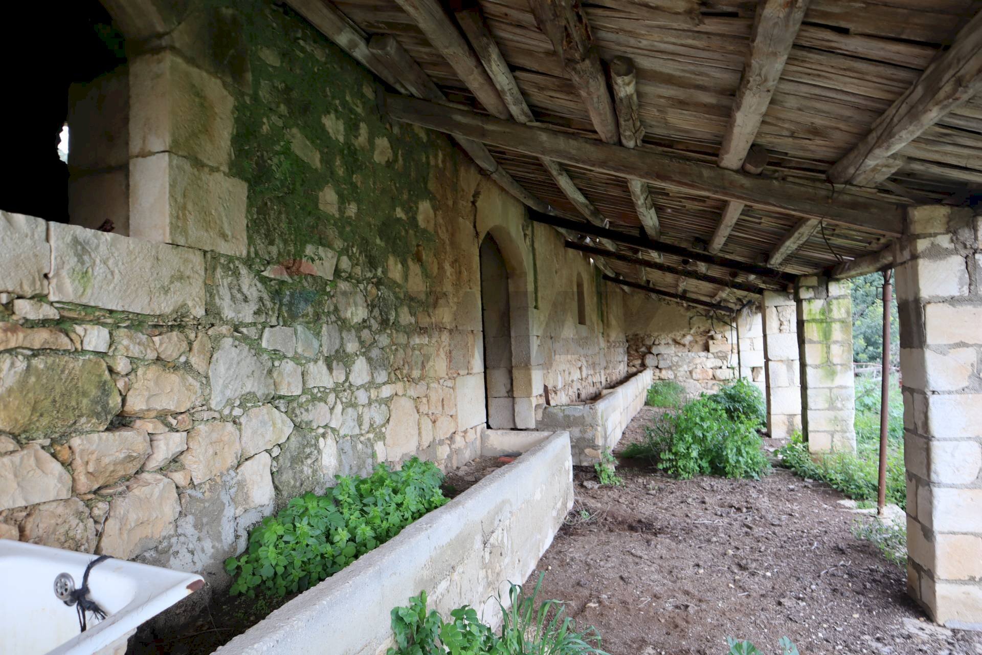 Giardino - Rustico C.da Galerme
 
snc, Ragusa - foto 1