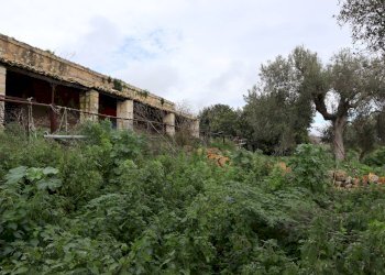 Giardino - Rustico C.da Galerme
 
snc, Ragusa - foto 4