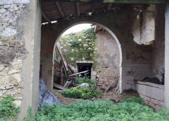 Giardino - Rustico C.da Galerme
 
snc, Ragusa - foto 8