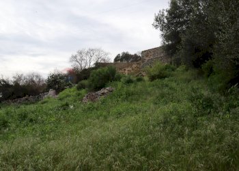 Giardino - Rustico C.da Galerme
 
snc, Ragusa - foto 13