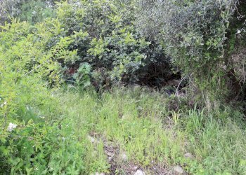 Giardino - Rustico C.da Galerme
 
snc, Ragusa - foto 14