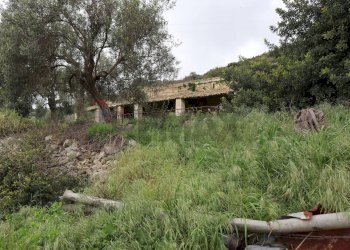 Giardino - Rustico C.da Galerme
 
snc, Ragusa - foto 16