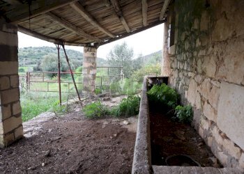 Giardino - Rustico C.da Galerme
 
snc, Ragusa - foto 20