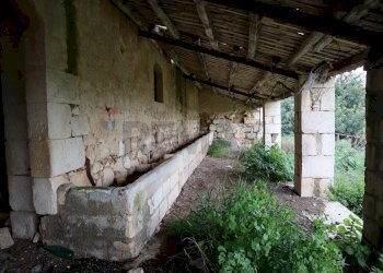 Giardino - Rustico C.da Galerme
 
snc, Ragusa - foto 21