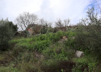 Giardino - Rustico C.da Galerme
 
snc, Ragusa - foto 24