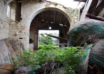 Giardino - Rustico C.da Galerme
 
snc, Ragusa - foto 27