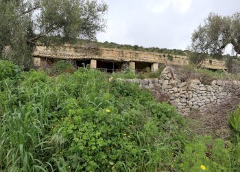 Giardino - Rustico C.da Galerme
 
snc, Ragusa - foto 33