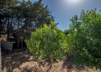 Giardino - Villa Ragusa - foto 42