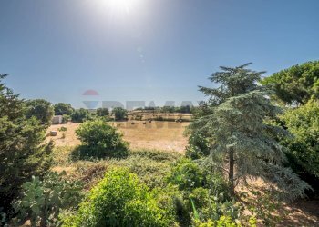 Giardino - Villa Ragusa - foto 67