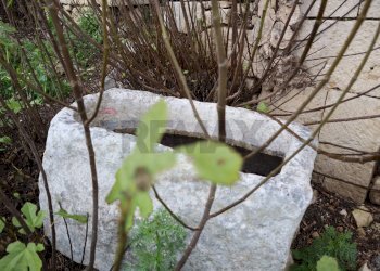 Giardino - Rustico C.da Galerme
 
snc, Ragusa - foto 9