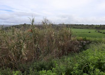 Vista delle montagne - Rustico C.da Galerme
 
snc, Ragusa - foto 11