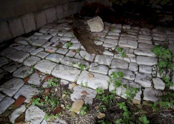 Dettagli - Rustico C.da Galerme
 
snc, Ragusa - foto 23