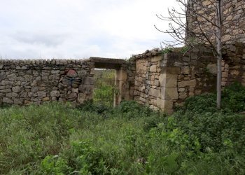 Giardino - Rustico C.da Galerme
 
snc, Ragusa - foto 29