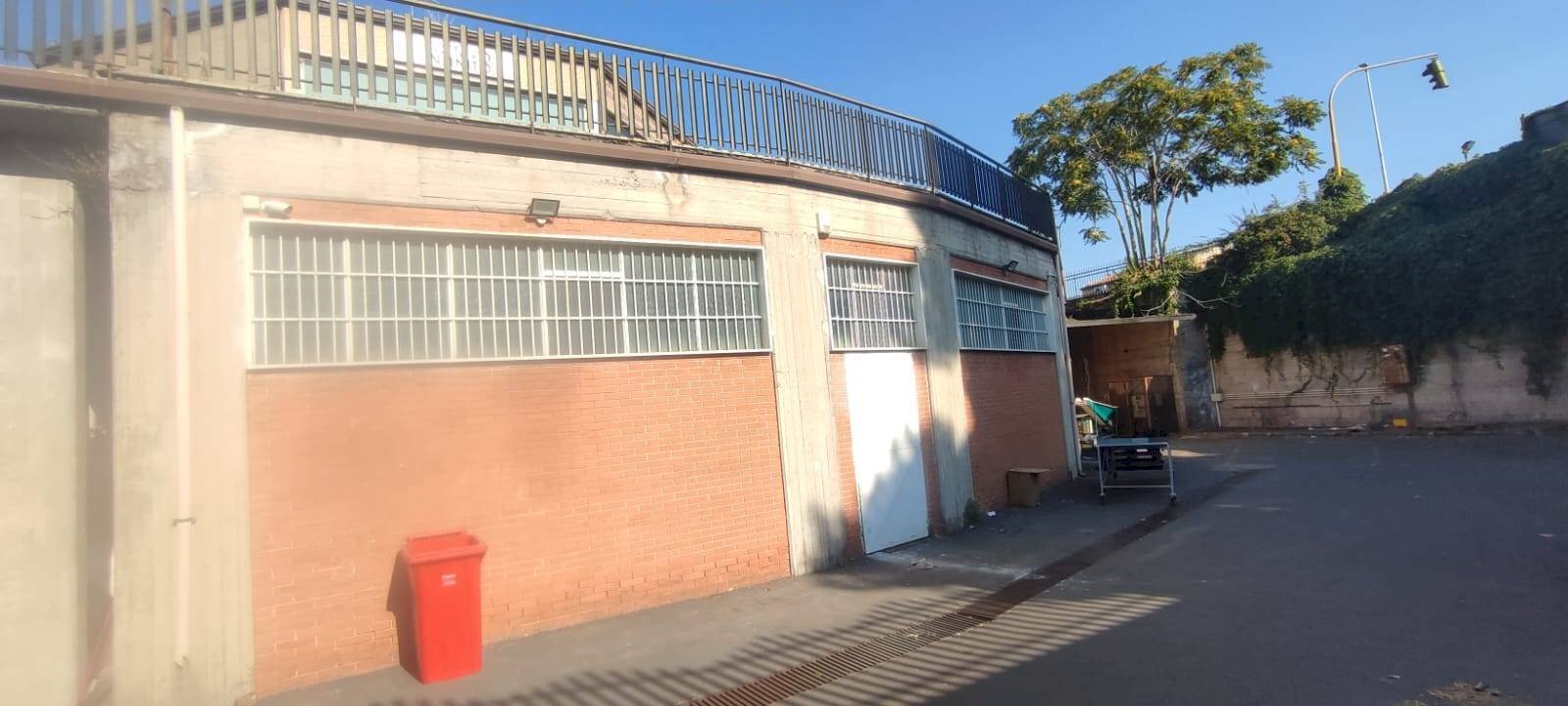 Foto 3 - Negozio Santa Maria di Licodia - foto 3