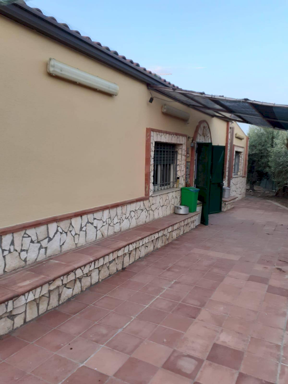 Foto 3 - Independent house Centuripe - photo 3