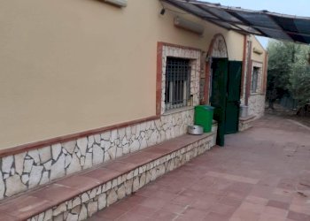 Foto 3 - Casa indipendente Centuripe - foto 3