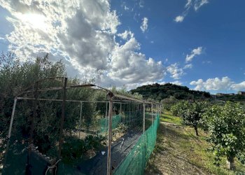 Foto 25 - Casa indipendente Centuripe - foto 25