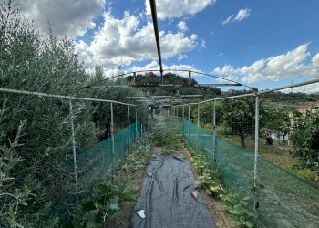 Foto 26 - Casa indipendente Centuripe - foto 26