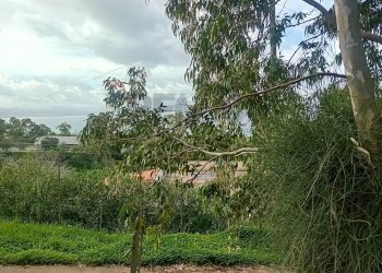 Giardino - Terreno agricolo Contrada paternella, Terrasini - foto 4