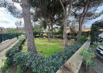 Giardino - Villa a Schiera Via Alba Guli'
 
8, Palermo - foto 42