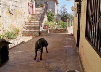 Terrazza - Casa semi indipendente S.S. 186 KM 13, Monreale - foto 32