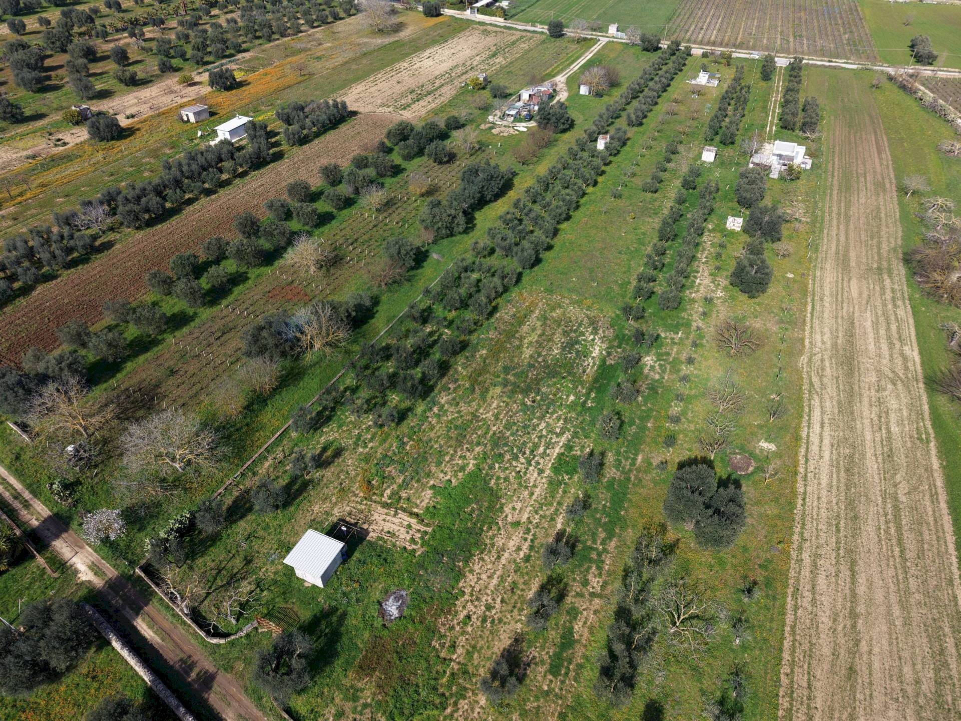 Posizione della mappa - Agricultural land Strada Vicinale Vigne Vecchie, Crispiano - photo 3