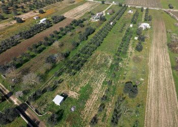 Posizione della mappa - Agricultural land Strada Vicinale Vigne Vecchie, Crispiano - photo 3