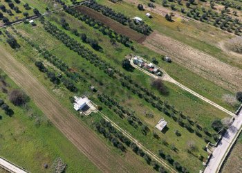 Posizione della mappa - Agricultural land Strada Vicinale Vigne Vecchie, Crispiano - photo 5