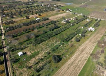 Posizione della mappa - Agricultural land Strada Vicinale Vigne Vecchie, Crispiano - photo 6