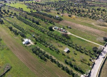 Vista delle montagne - Agricultural land Strada Vicinale Vigne Vecchie, Crispiano - photo 7