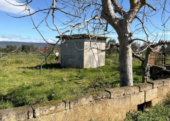 Giardino - Agricultural land Strada Vicinale Vigne Vecchie, Crispiano - photo 8