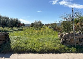 Giardino - Agricultural land Strada Vicinale Vigne Vecchie, Crispiano - photo 11