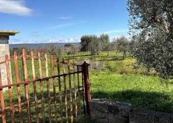 Giardino - Agricultural land Strada Vicinale Vigne Vecchie, Crispiano - photo 15