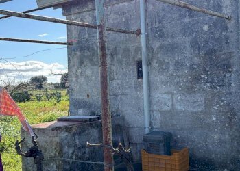 Giardino - Agricultural land Strada Vicinale Vigne Vecchie, Crispiano - photo 16