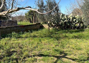 Giardino - Agricultural land Strada Vicinale Vigne Vecchie, Crispiano - photo 19