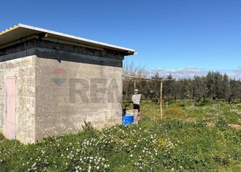 Casa all\'aperto - Agricultural land Strada Vicinale Vigne Vecchie, Crispiano - photo 21