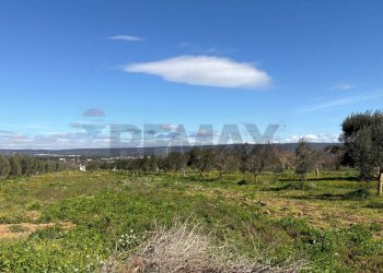Vista delle montagne - Agricultural land Strada Vicinale Vigne Vecchie, Crispiano - photo 22