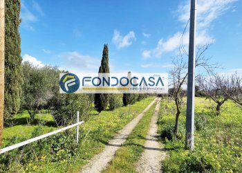 Foto 2 - Villa strada per caputi
 
66, Brindisi - foto 2