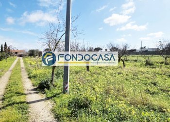 Foto 3 - Villa strada per caputi
 
66, Brindisi - foto 3