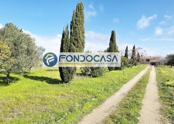 Foto 10 - Villa strada per caputi
 
66, Brindisi - foto 10