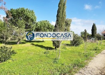 Foto 11 - Villa strada per caputi
 
66, Brindisi - foto 11