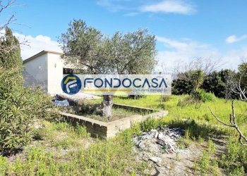 Foto 14 - Villa strada per caputi
 
66, Brindisi - foto 14